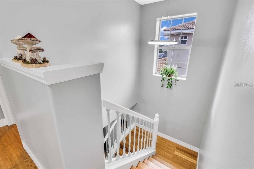 241 Vista Loop - Photo 7