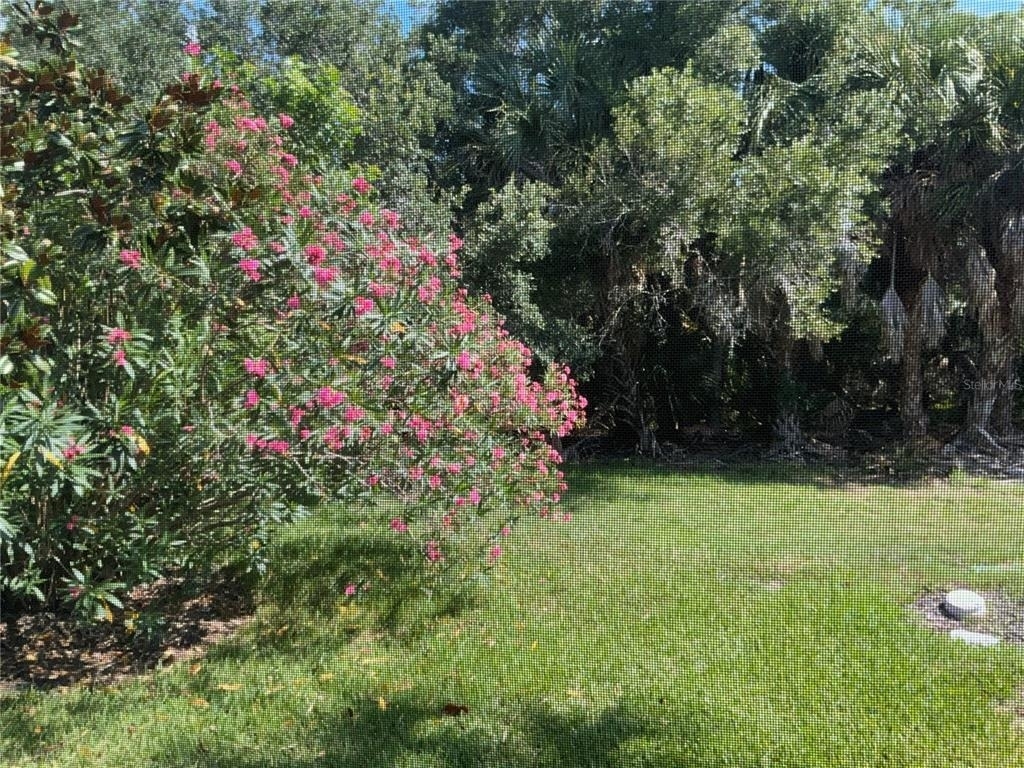 8004 Camminare Drive - Photo 4
