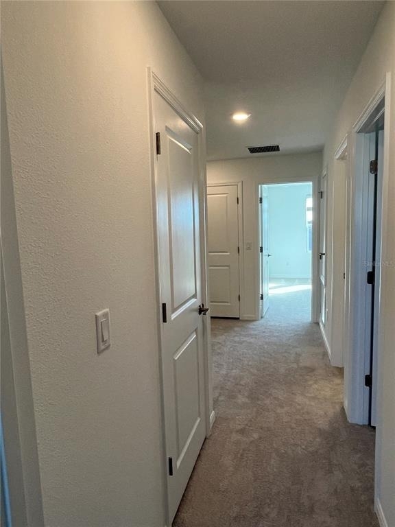 5845 Biscotti St - Photo 8