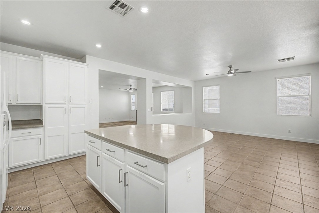 835 Entrada Ridge Avenue - Photo 12