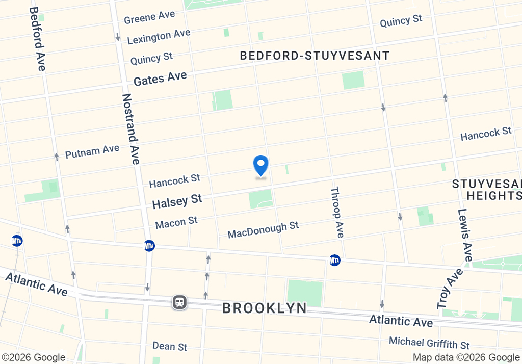 223 Halsey Street - Photo 10