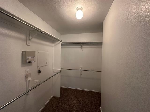 8255 Horse Whisper Lane - Photo 13