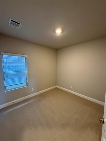 3215 Sedge Grass Drive - Photo 12