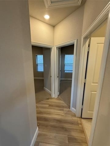 3215 Sedge Grass Drive - Photo 9