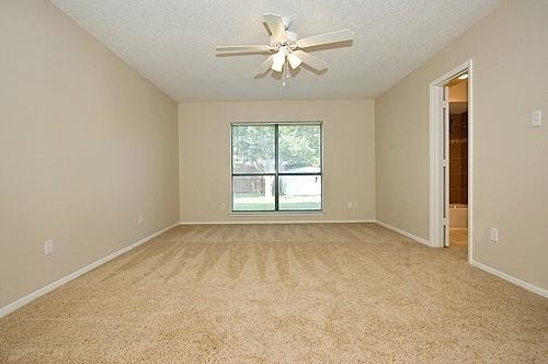 5309 Maple Court - Photo 6