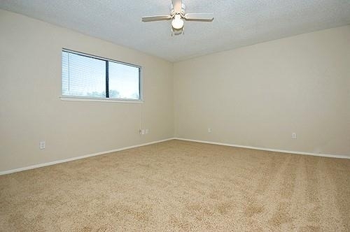 5309 Maple Court - Photo 7