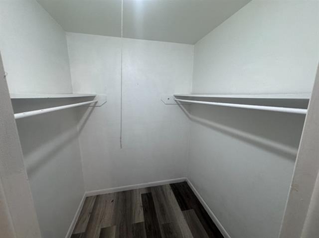 13511 Red Fern Lane - Photo 11