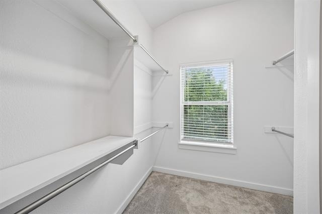 1425 Alberti Avenue - Photo 17