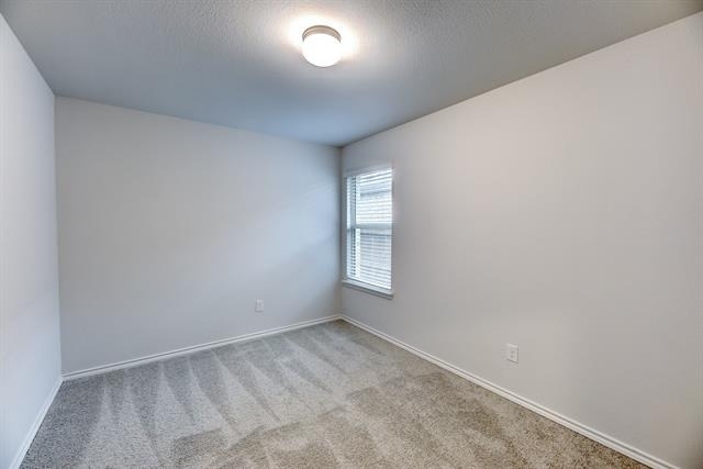 11436 Alpine Springs Drive - Photo 15