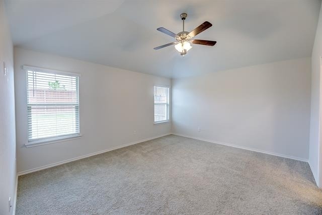 11436 Alpine Springs Drive - Photo 11