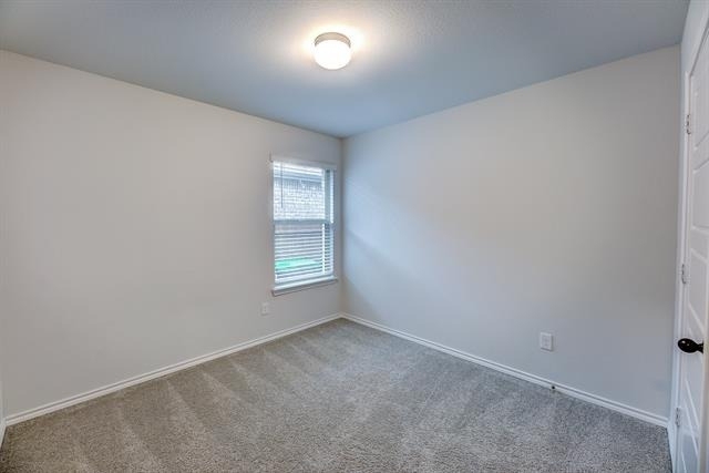 11436 Alpine Springs Drive - Photo 18