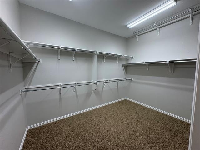 1006 Knoxbridge Road - Photo 13