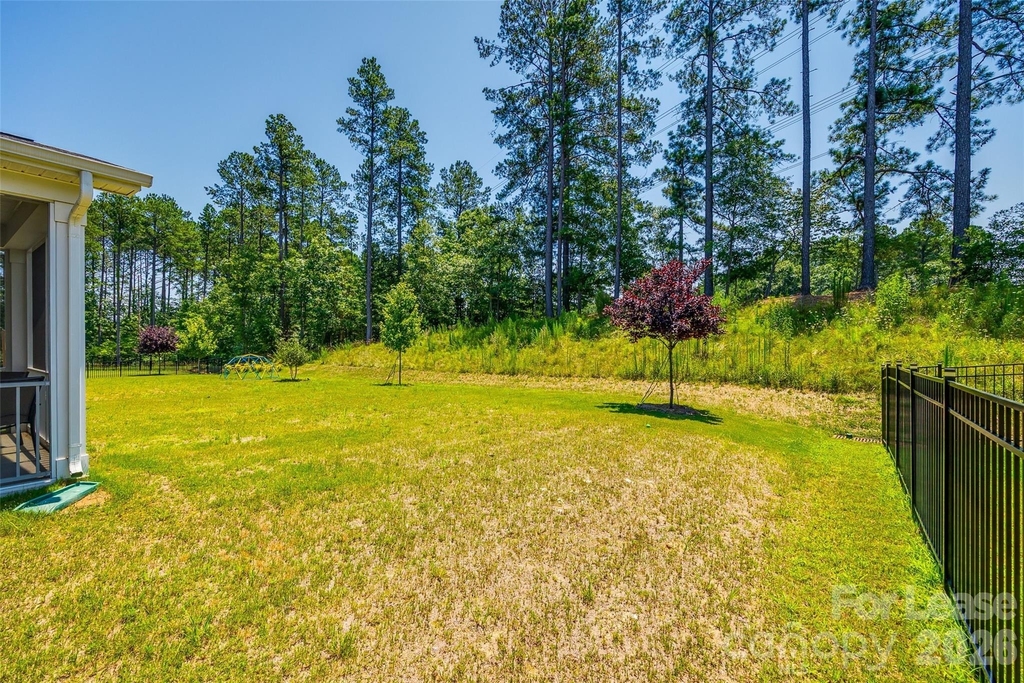 1540 Striped Bass Lane - Photo 29