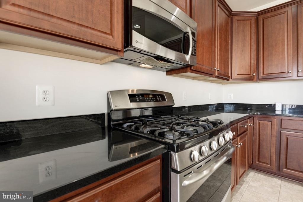 25442 Hopton House Terrace - Photo 10
