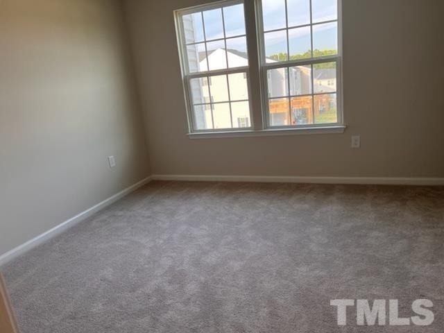 1019 Romeria Drive - Photo 11