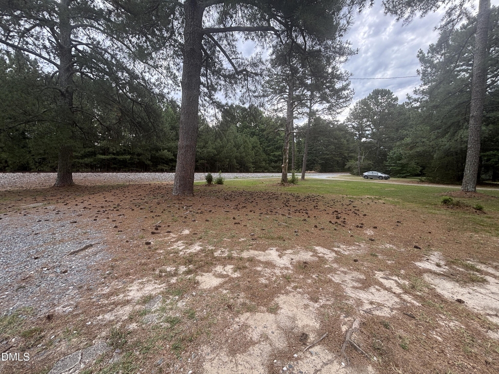 87 Robert Thompson Road - Photo 51