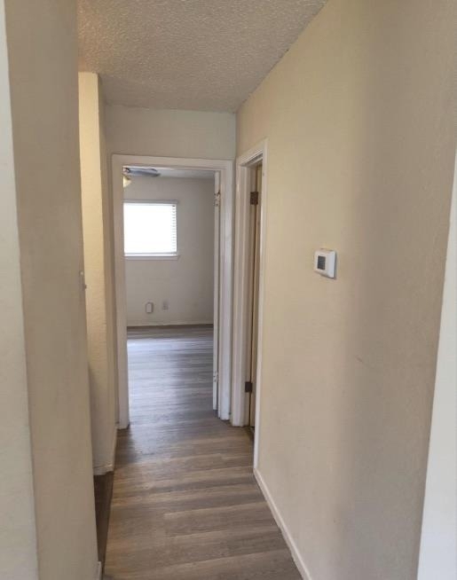 2609 Ektom Dr - Photo 3