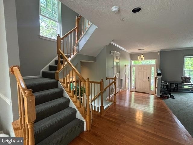 10148 Vanderbilt Circle - Photo 15