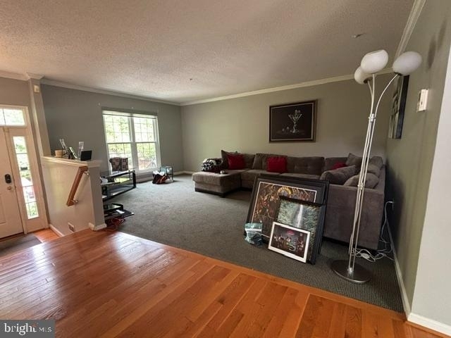 10148 Vanderbilt Circle - Photo 3