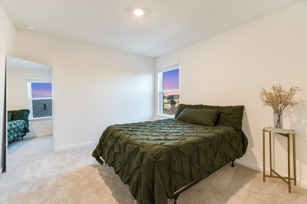 737 Leeward Pass - Photo 23