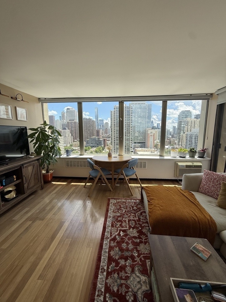1355 N Sandburg Terrace - Photo 3