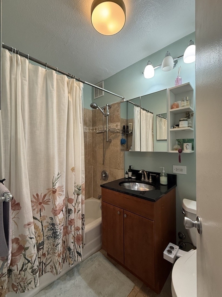 1355 N Sandburg Terrace - Photo 8