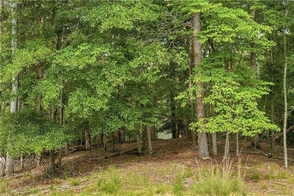 4219 Merlin Pass - Photo 22