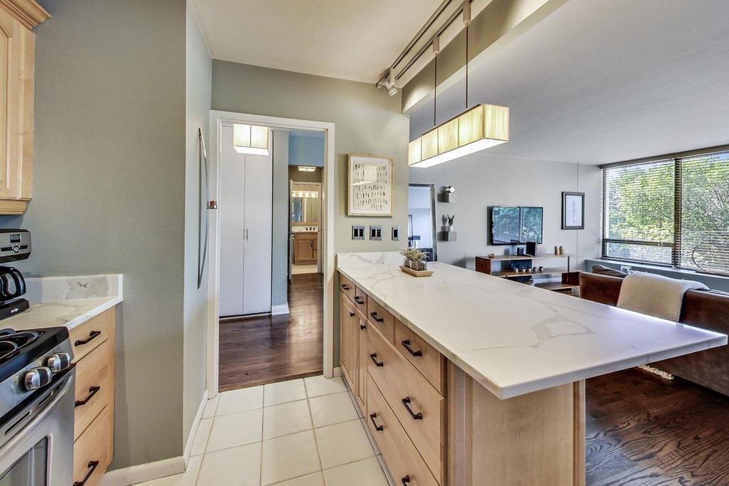 2800 N Lake Shore Drive - Photo 8