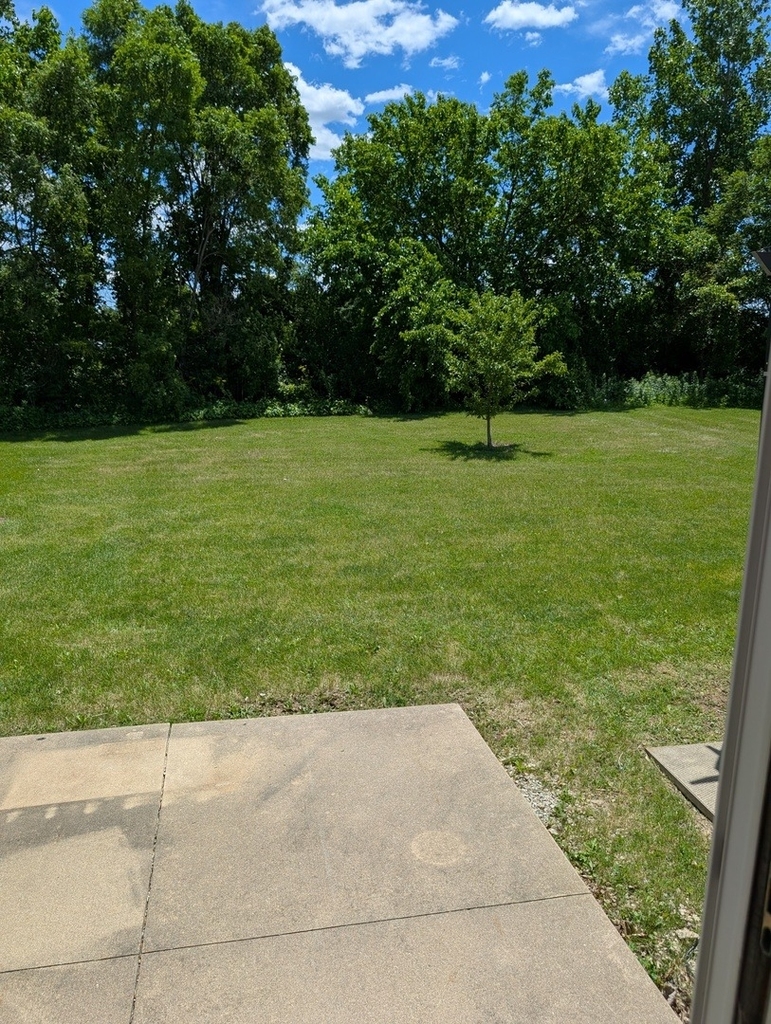 262 Sunset Boulevard - Photo 8