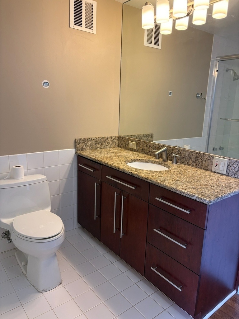 505 N Lake Shore Drive - Photo 12