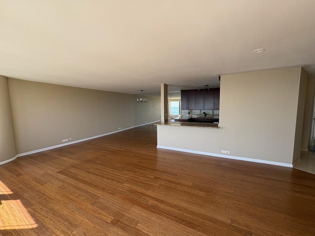 505 N Lake Shore Drive - Photo 3