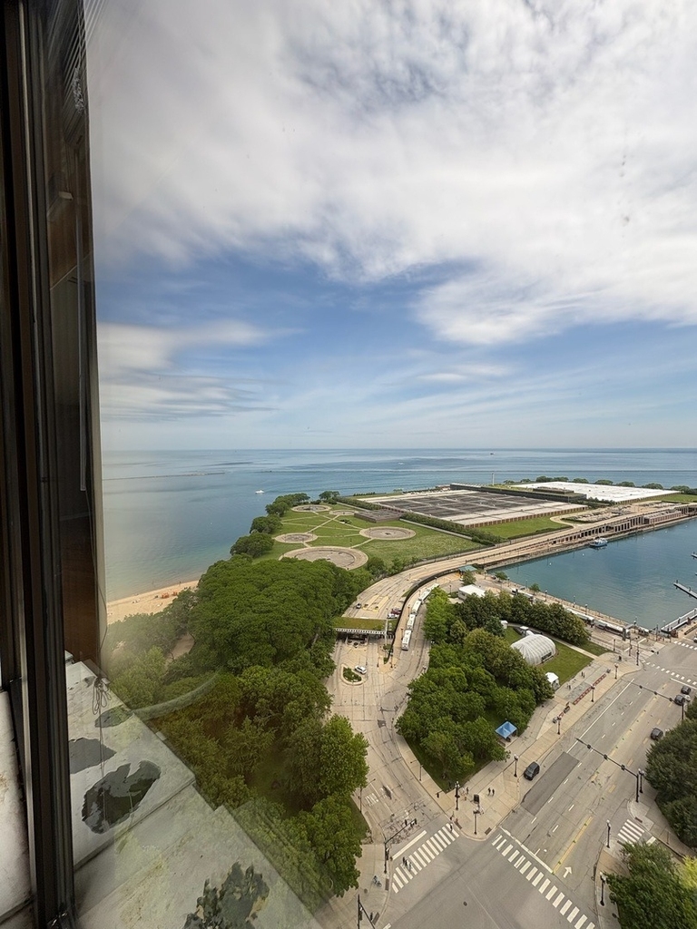 505 N Lake Shore Drive - Photo 13