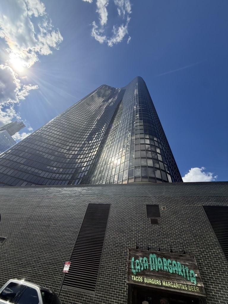505 N Lake Shore Drive - Photo 0