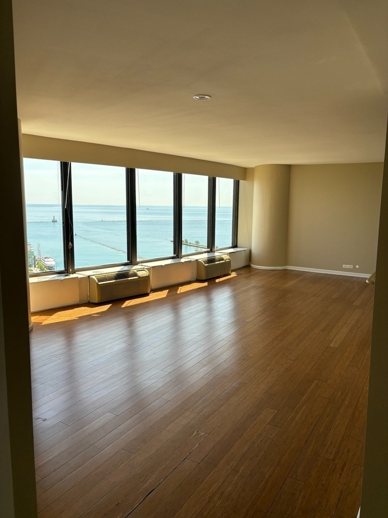 505 N Lake Shore Drive - Photo 1