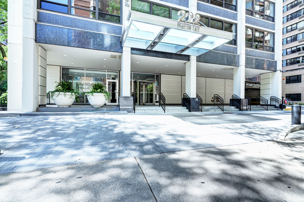 222 E Pearson Street - Photo 8
