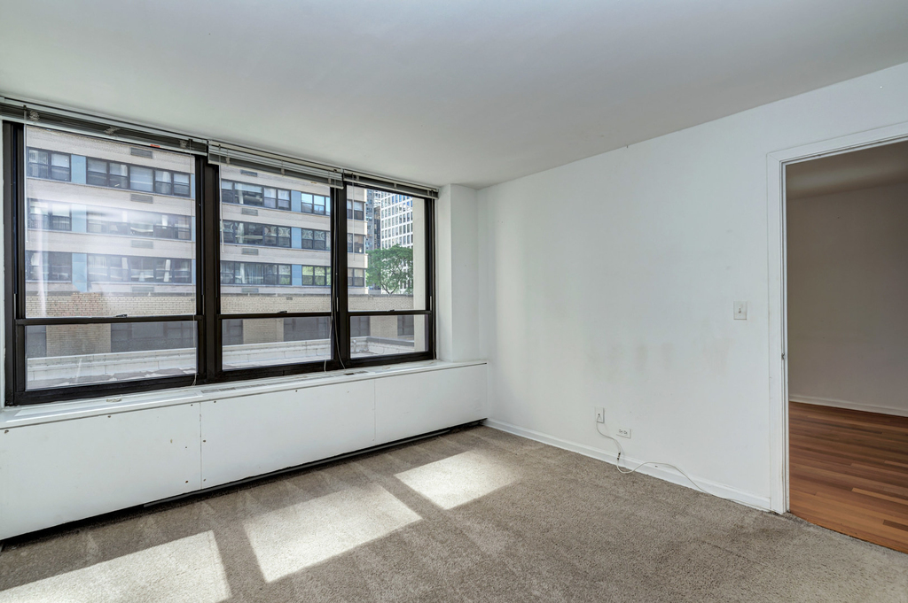 222 E Pearson Street - Photo 1