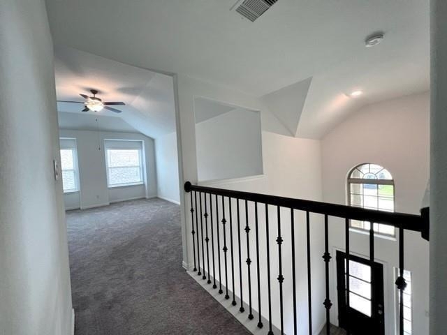 4826 Albany Ridge Lane - Photo 23