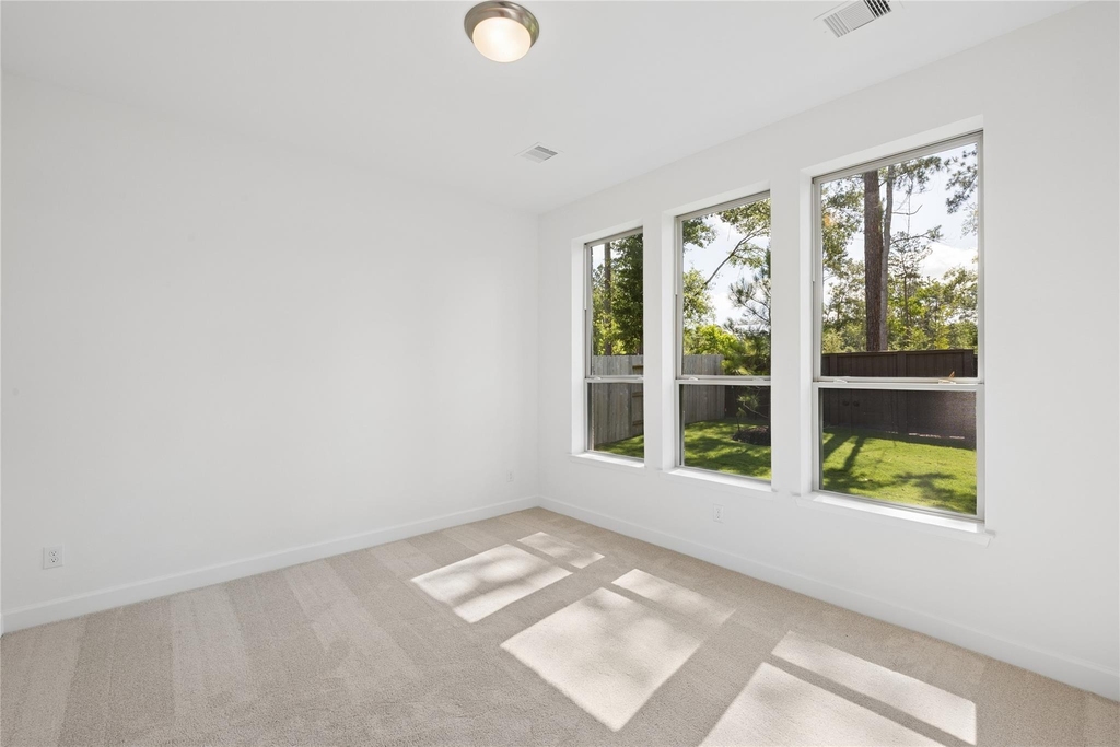 29934 Stony Forest Drive - Photo 11