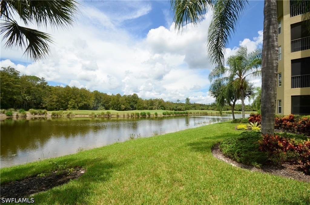 10307 Heritage Bay Boulevard - Photo 19