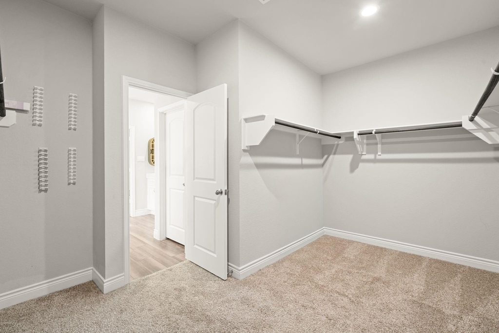 31214 Raleigh Creek Drive - Photo 16