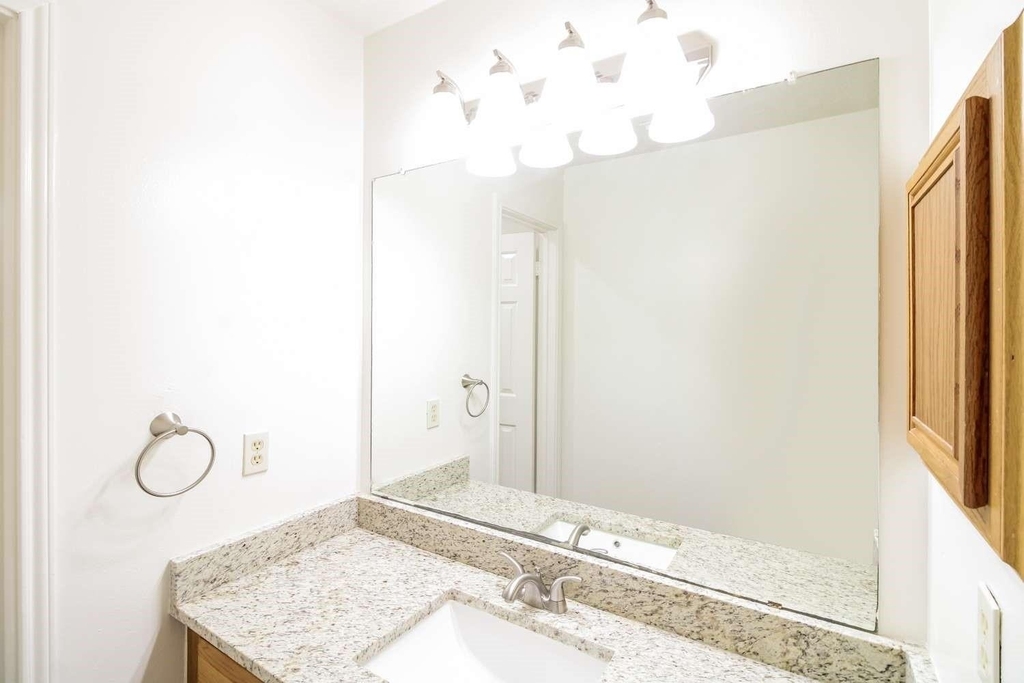 4409 Spoonbill Drive - Photo 9