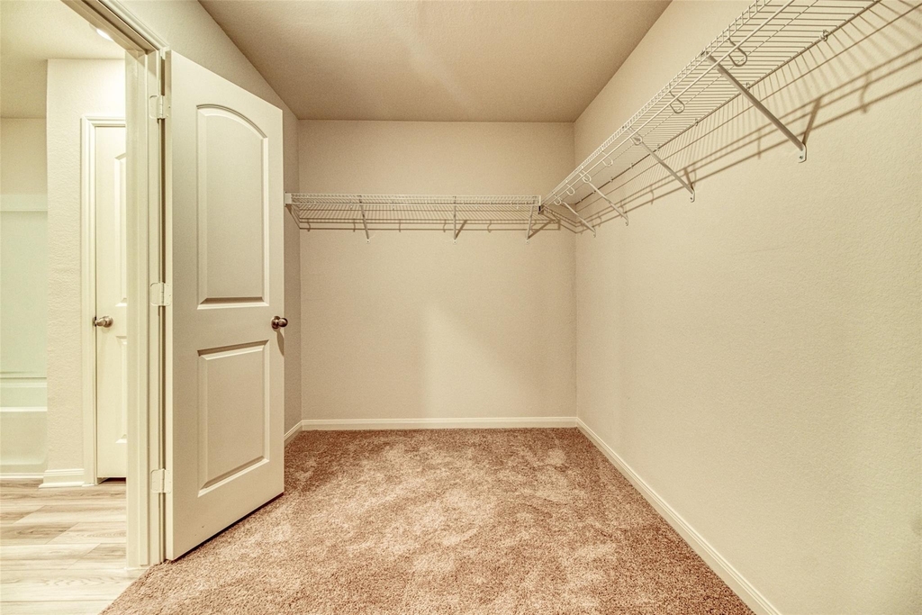 8002 Vacek Meadow Loop - Photo 19