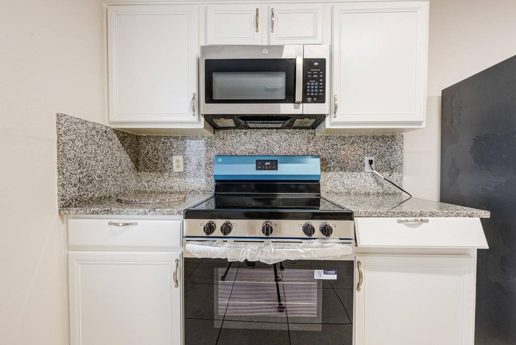 7322 Parkland Manor Drive - Photo 9