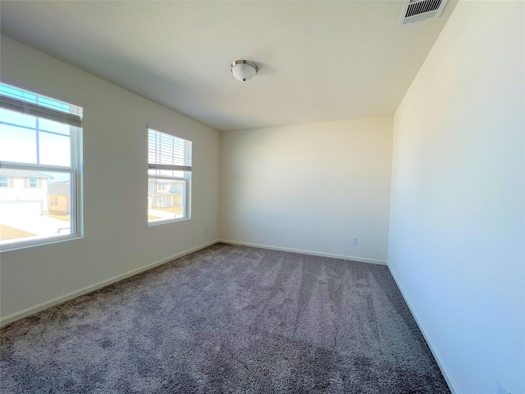 1036 Lacebark Pine Lane - Photo 13