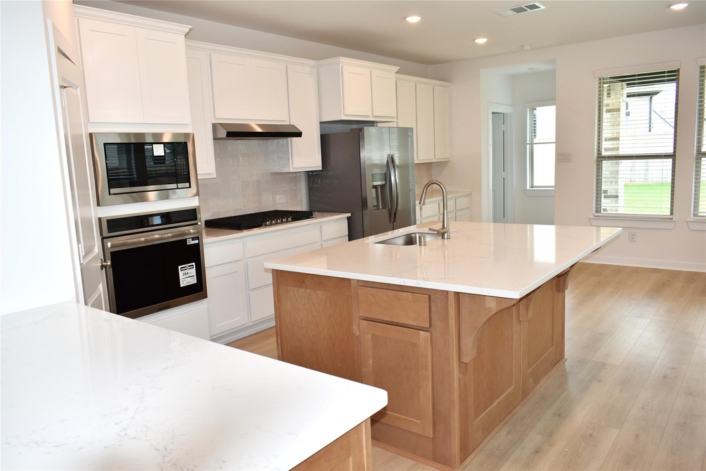 11218 Apricot Sulpher Drive - Photo 10