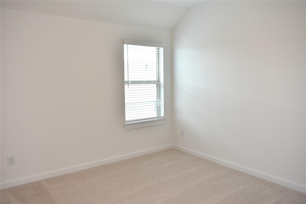 11218 Apricot Sulpher Drive - Photo 28