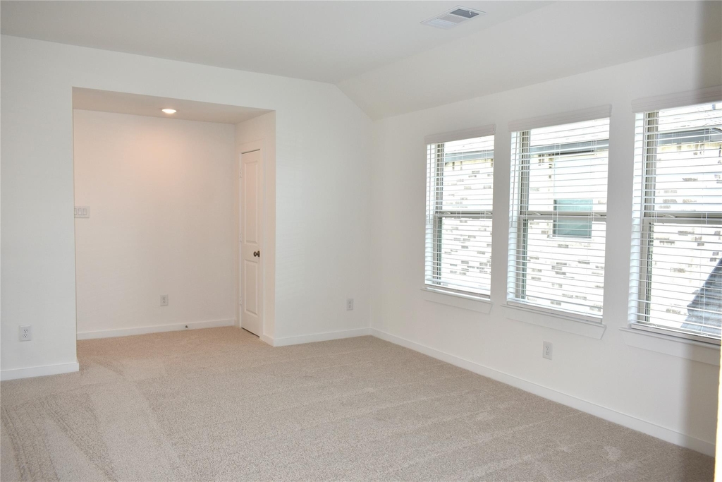 11218 Apricot Sulpher Drive - Photo 24