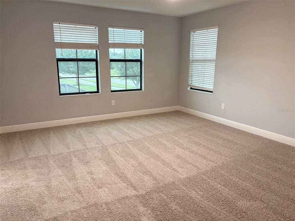 12860 Satin Lily Drive - Photo 16