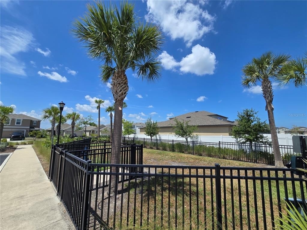 838 Olive Conch Street - Photo 22