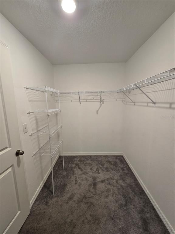 838 Olive Conch Street - Photo 14